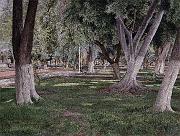 El Parque Llano